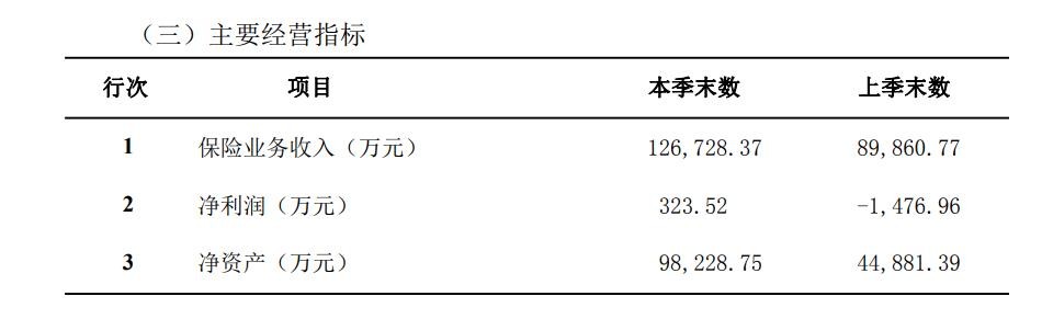 中路保险首次实现完整年度盈利 累亏超5亿且需加强内控管理