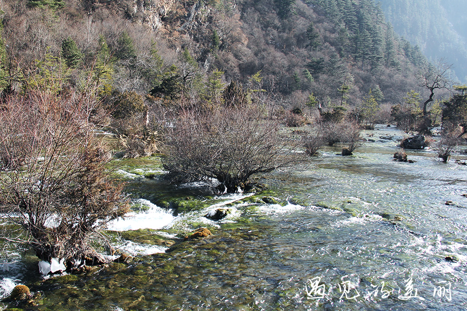 如果一生只去一次九寨沟，如何游玩才能不留遗憾？超详细游记攻略