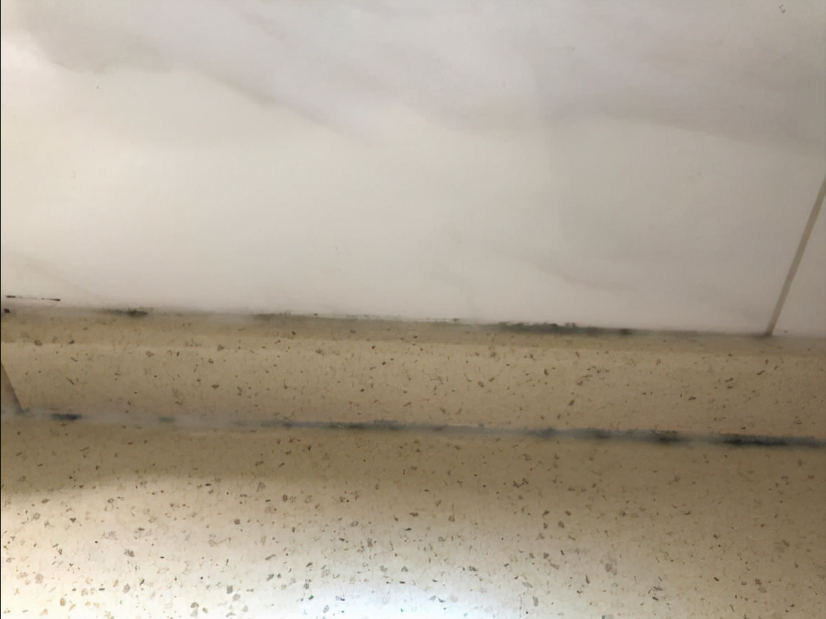 保洁大姨不愿说的4个清洁妙招，个个都实用，让家务事半功倍