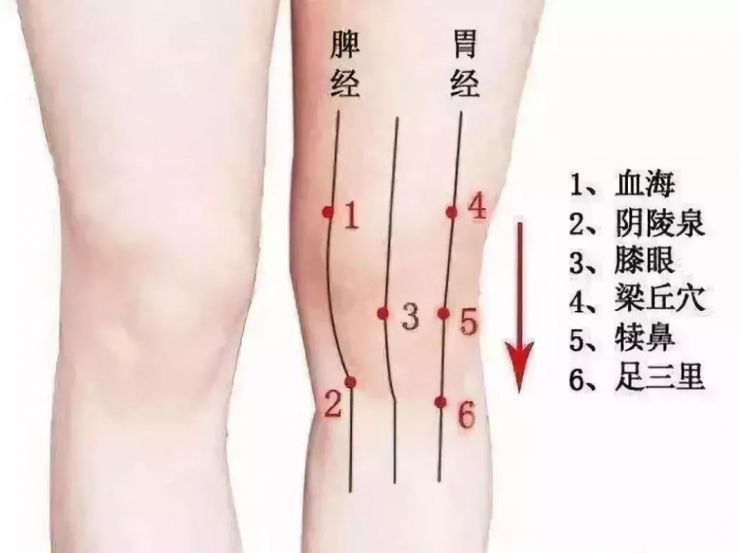 湿气是怎么形成的？湿气重有哪些表现？老中医告诉你4个祛湿妙招