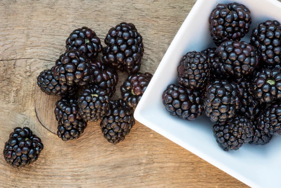 脑力衰退有可能是肾虚！2个养肾法，简单有效，看你能不能坚持~