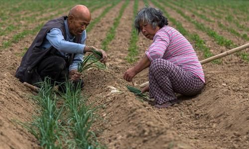 河南穷小伙上大学，老人为他交学费，毕业后办4S店卖车为老人养老