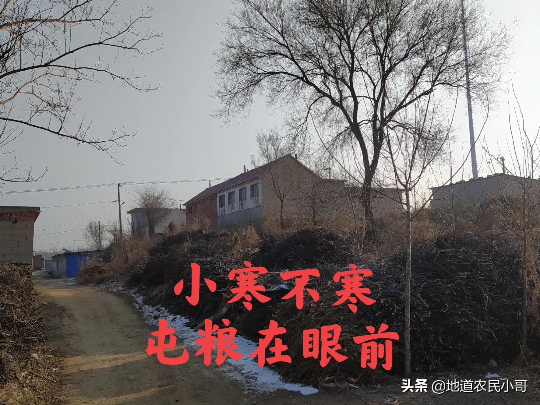 今日小寒，小寒不寒，春节还能冷到哭吗？看民间谚语怎么说