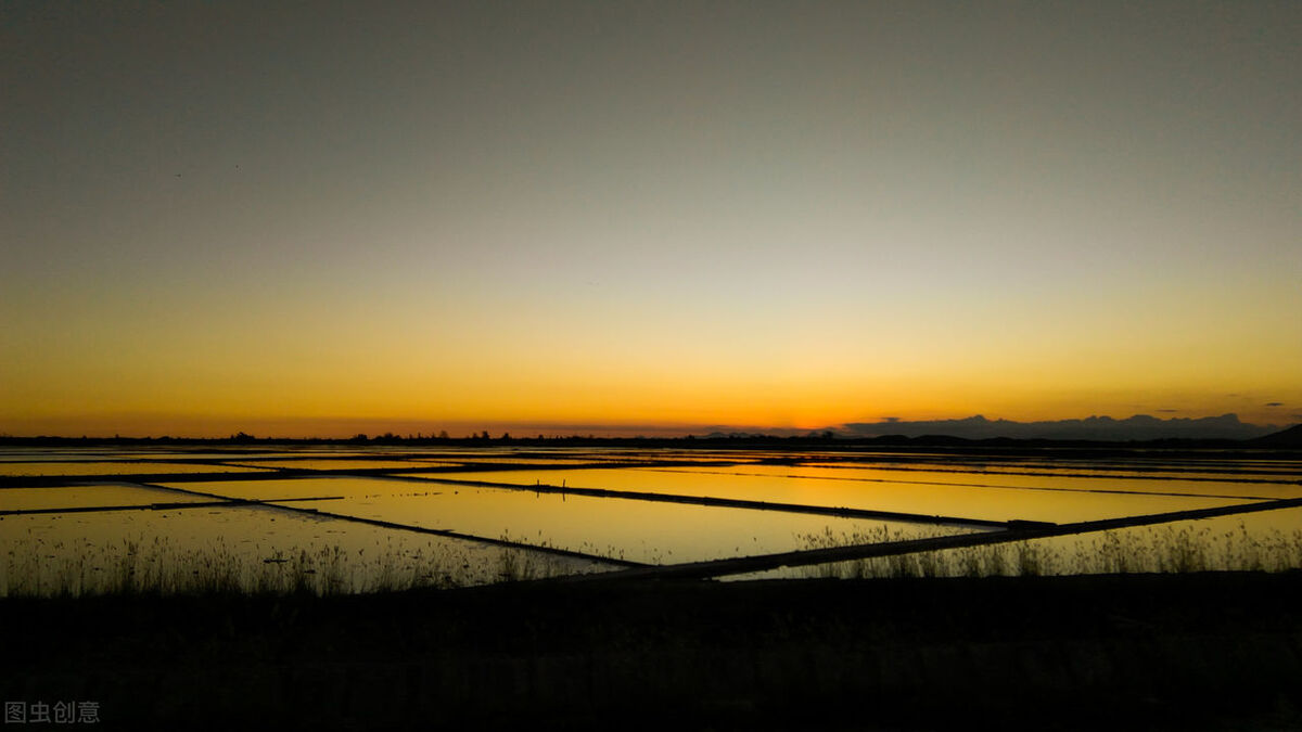 英语“四位一体”教学法模式下的中学英语词块教学策略