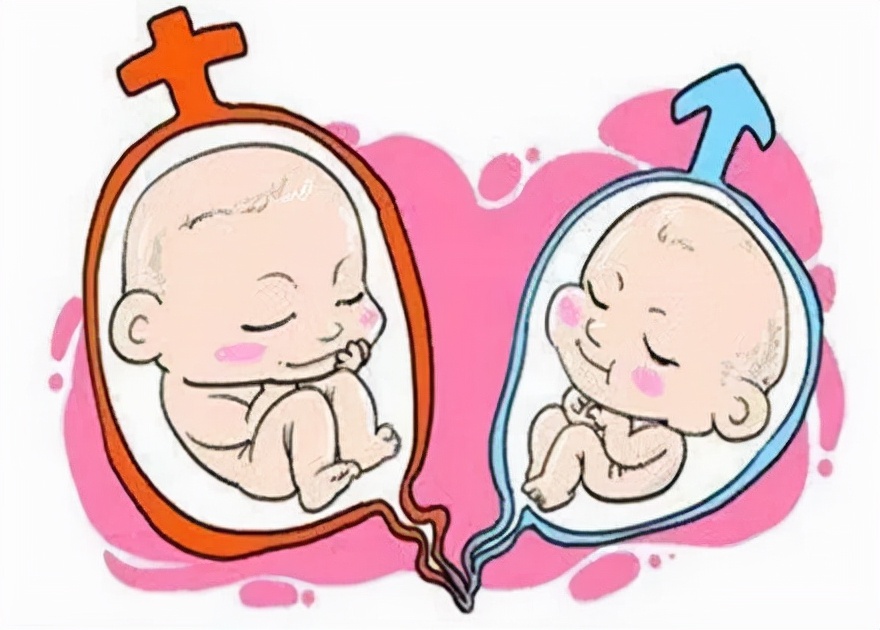 「孕期第5月」魔镜魔镜告诉我 肚里的是男宝还是女宝？