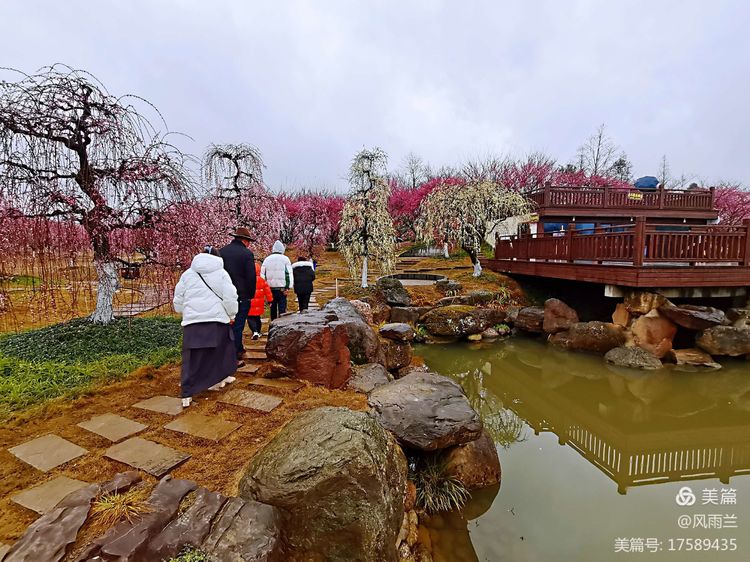 烟雨蒙蒙问花村 作者：武术兰