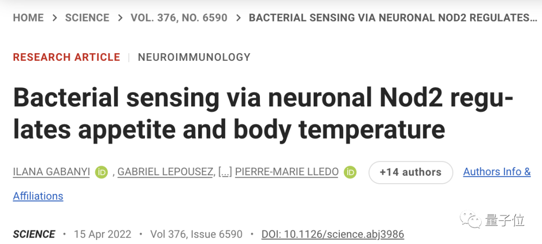 大脑能直接和肠道菌群对话，这种机制受损容易吃个不停｜Science