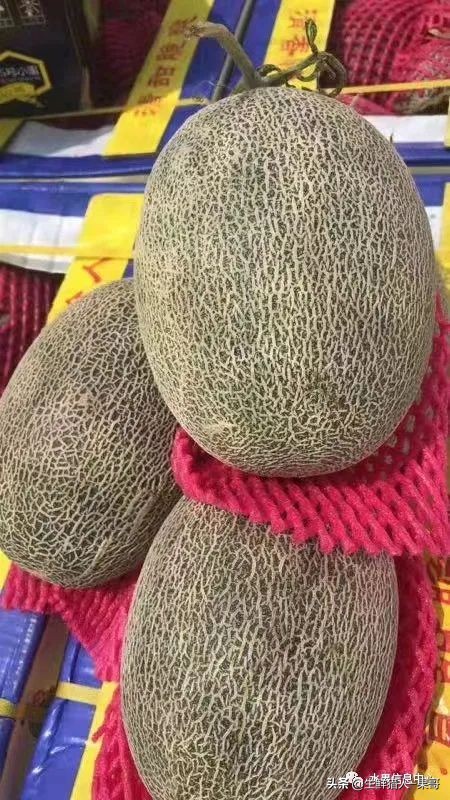 哈密瓜、蜜瓜、网纹瓜、香瓜、羊角蜜傻傻分不清？看完就明白了