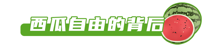 现在的西瓜太甜了，大部分打了激素？真相可能和你想的不一样