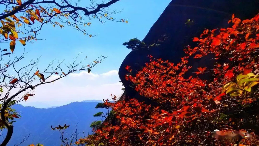2022,一起领略黄山迤逦风光!
