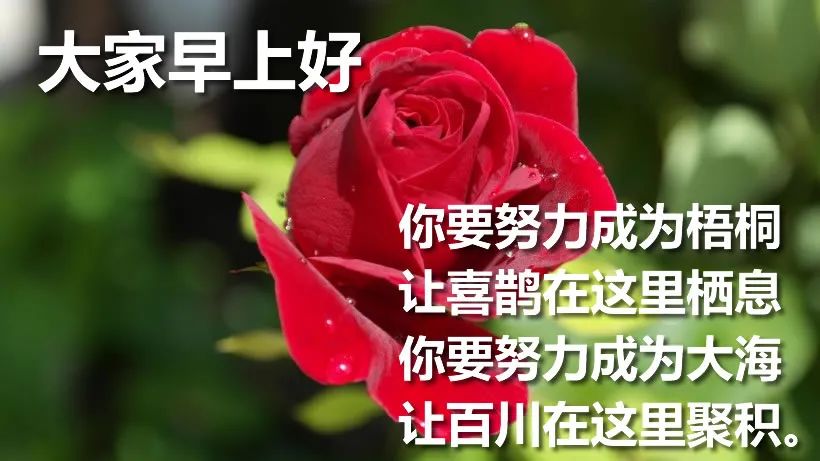 微信早上好祝福语，愿你福气满满，好运连连，新的一天阳光朝气图片