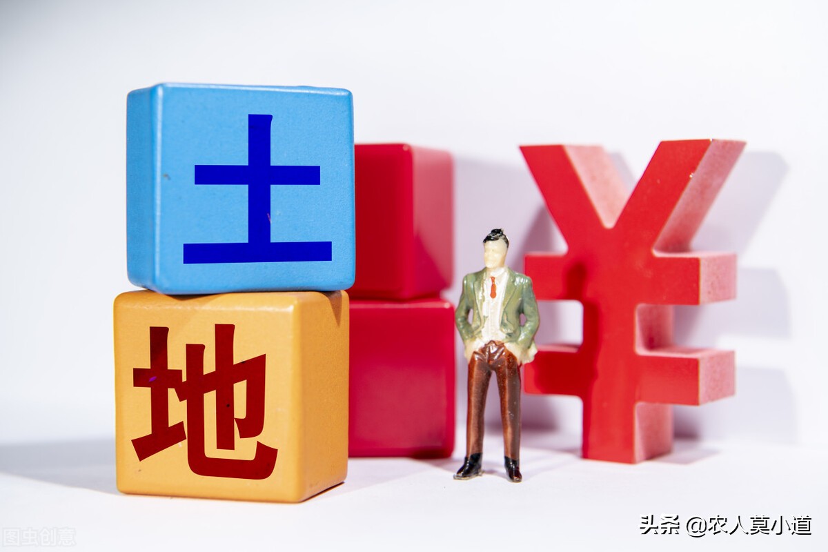 农业户口上大学时迁到学校，现在留在农村有什么意义？