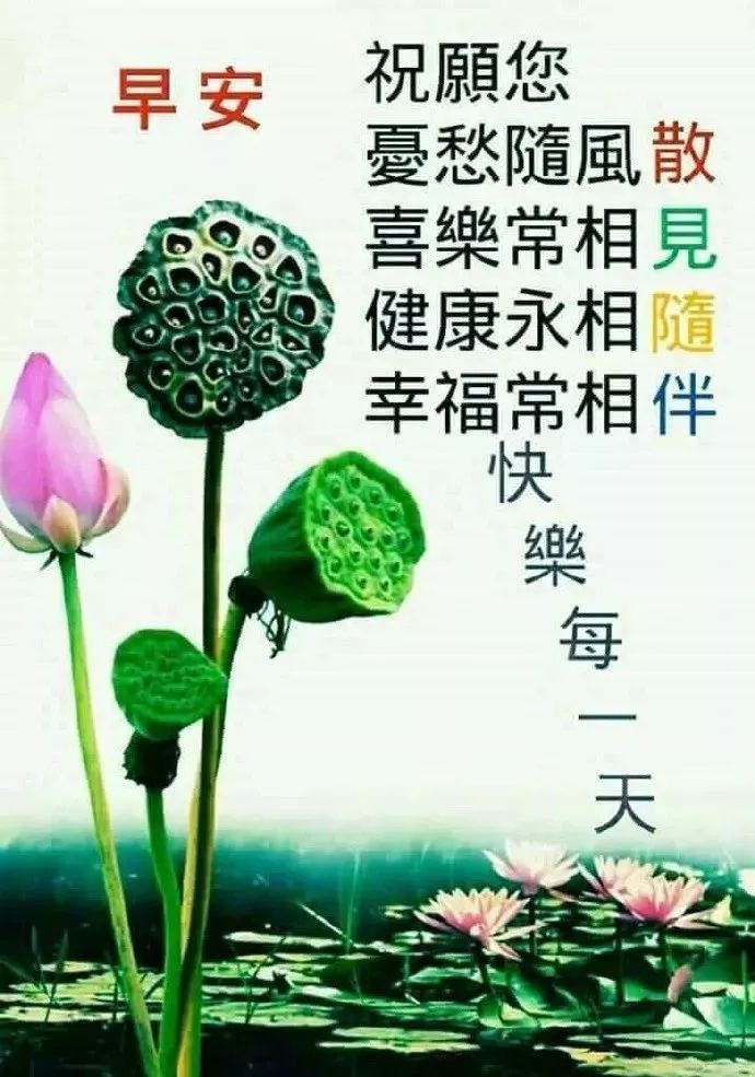 微信朋友圈精美的早上好动态表情图片，早上好问候语图片带字图片