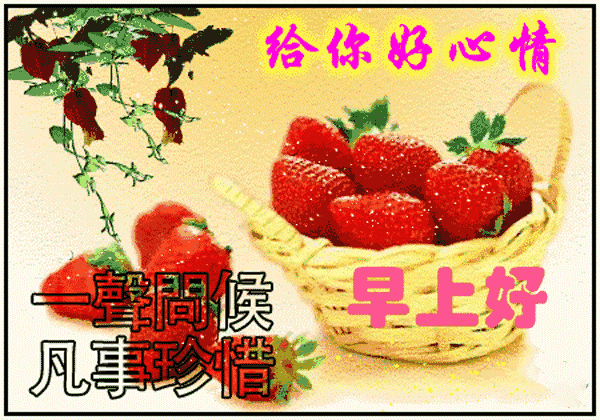 今日早上好表情包图片动态带鲜花 以积极的心态生活 发现美好的东西图片