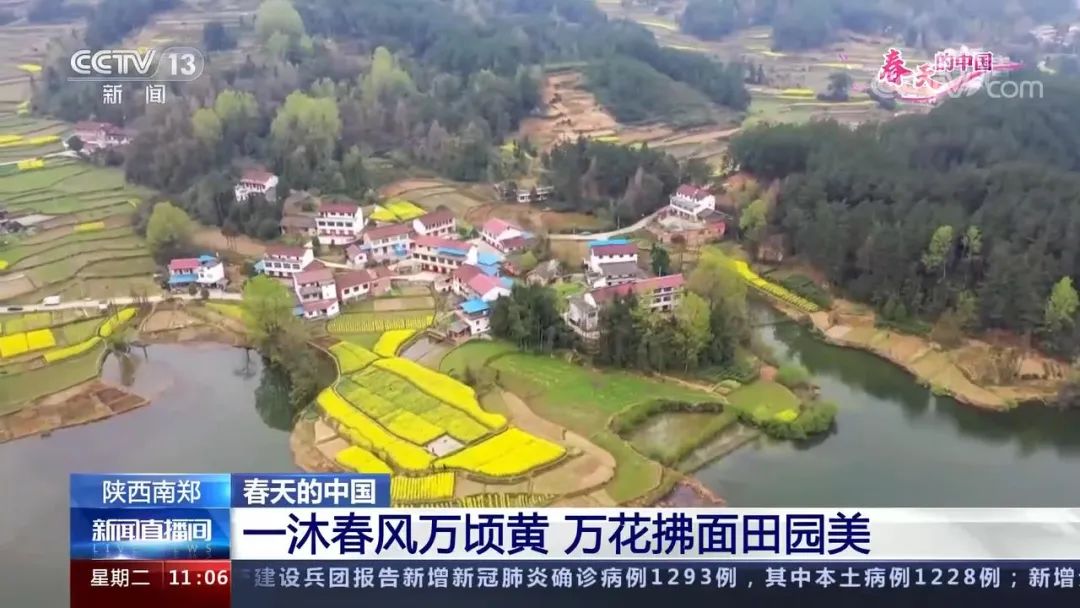 醉美拍點推薦 | 壯美！陜西南鄭油菜花海登陸央視新聞“春天里的中國”