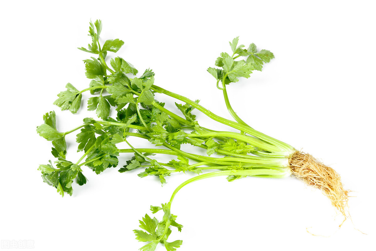 洋葱是血管清道夫，降血压？错了！提醒：这3种食物都不能降血压