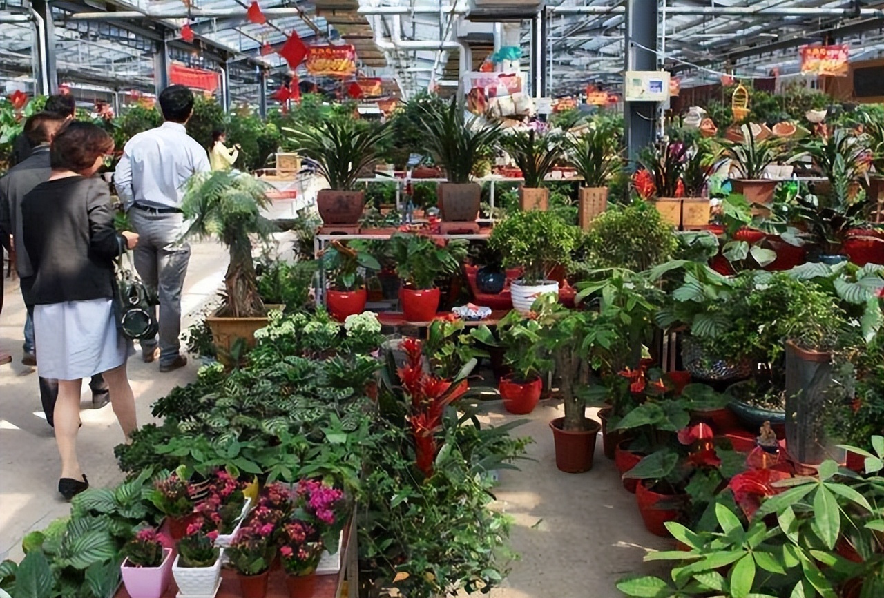 鲜花店挣钱吗(鲜花店挣钱吗赚钱吗)