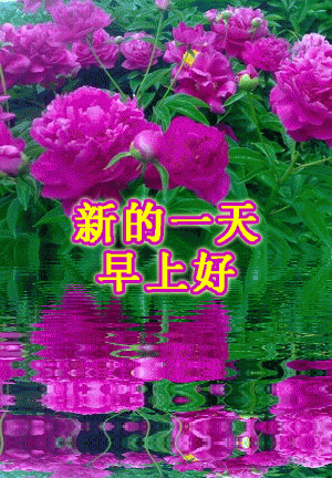 非常好看的早上好图片 漂亮早安问候语美图 问候是一种甜蜜的牵挂图片
