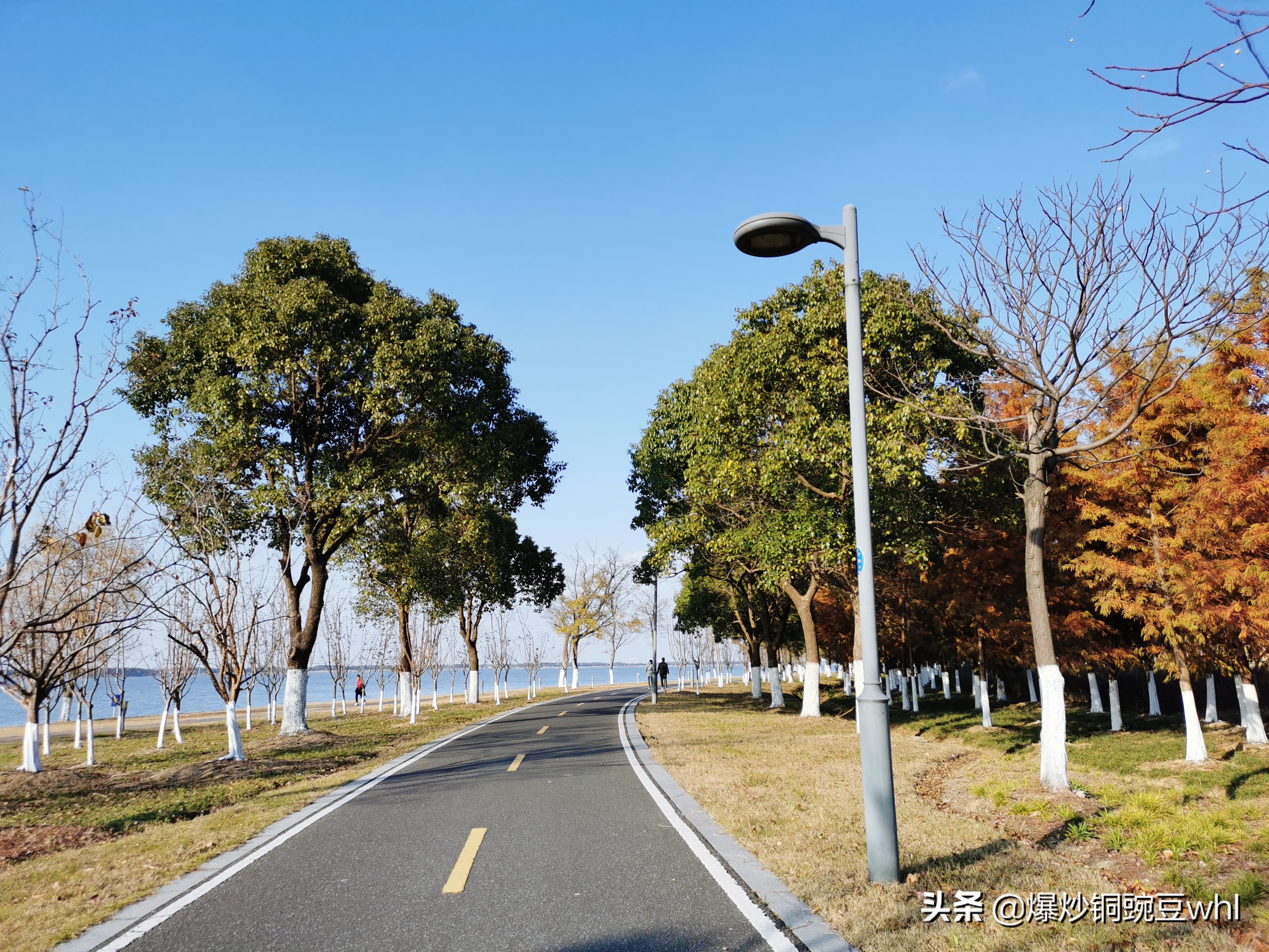 阳澄湖岂止大闸蟹，这些美景更加不容错过