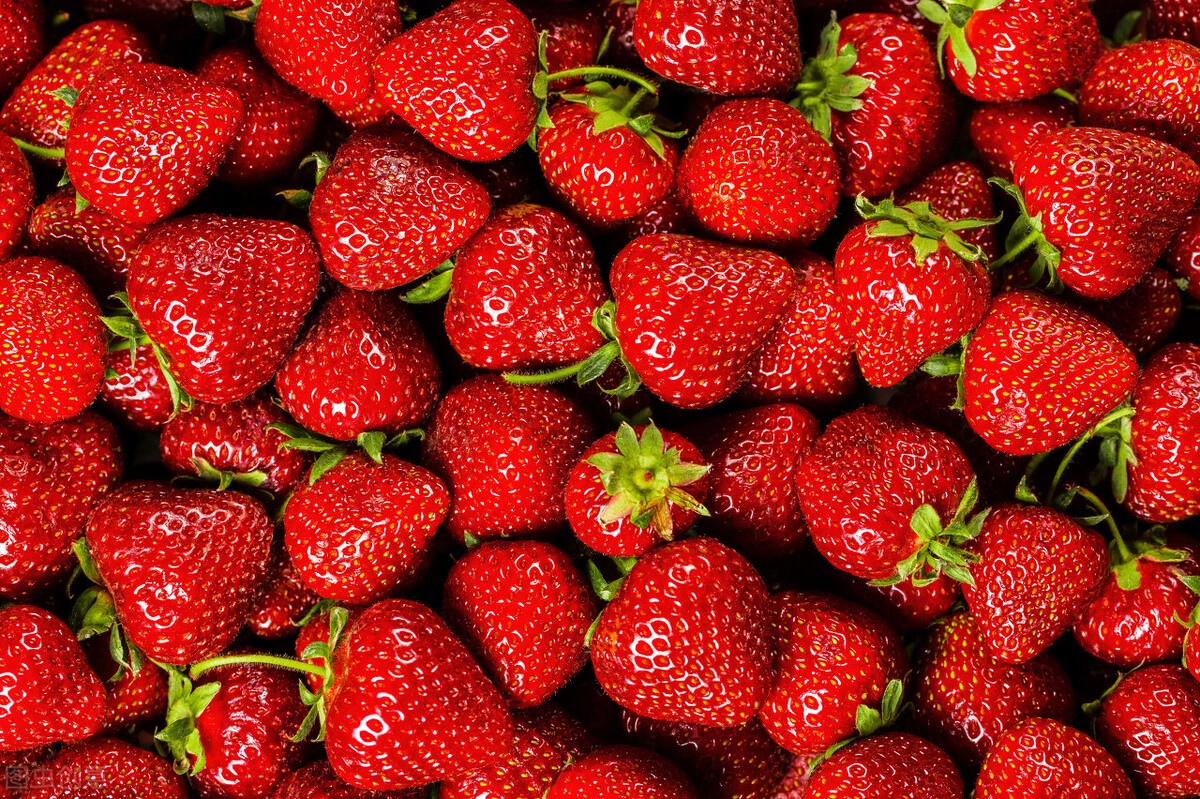 水果行情：草莓、莲雾一涨再涨，车厘子两极分化，青枣、柑橘价低