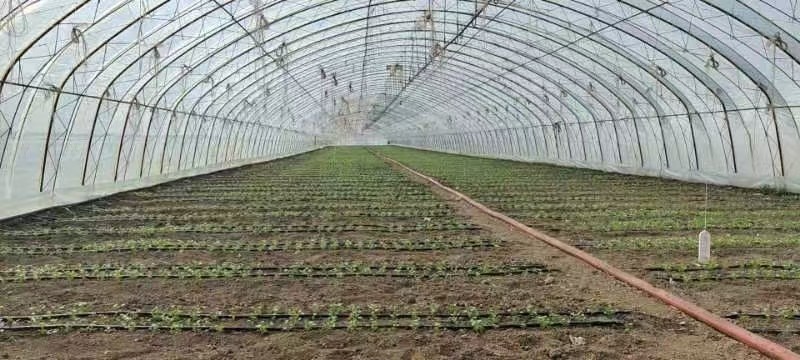 三问吉林农事