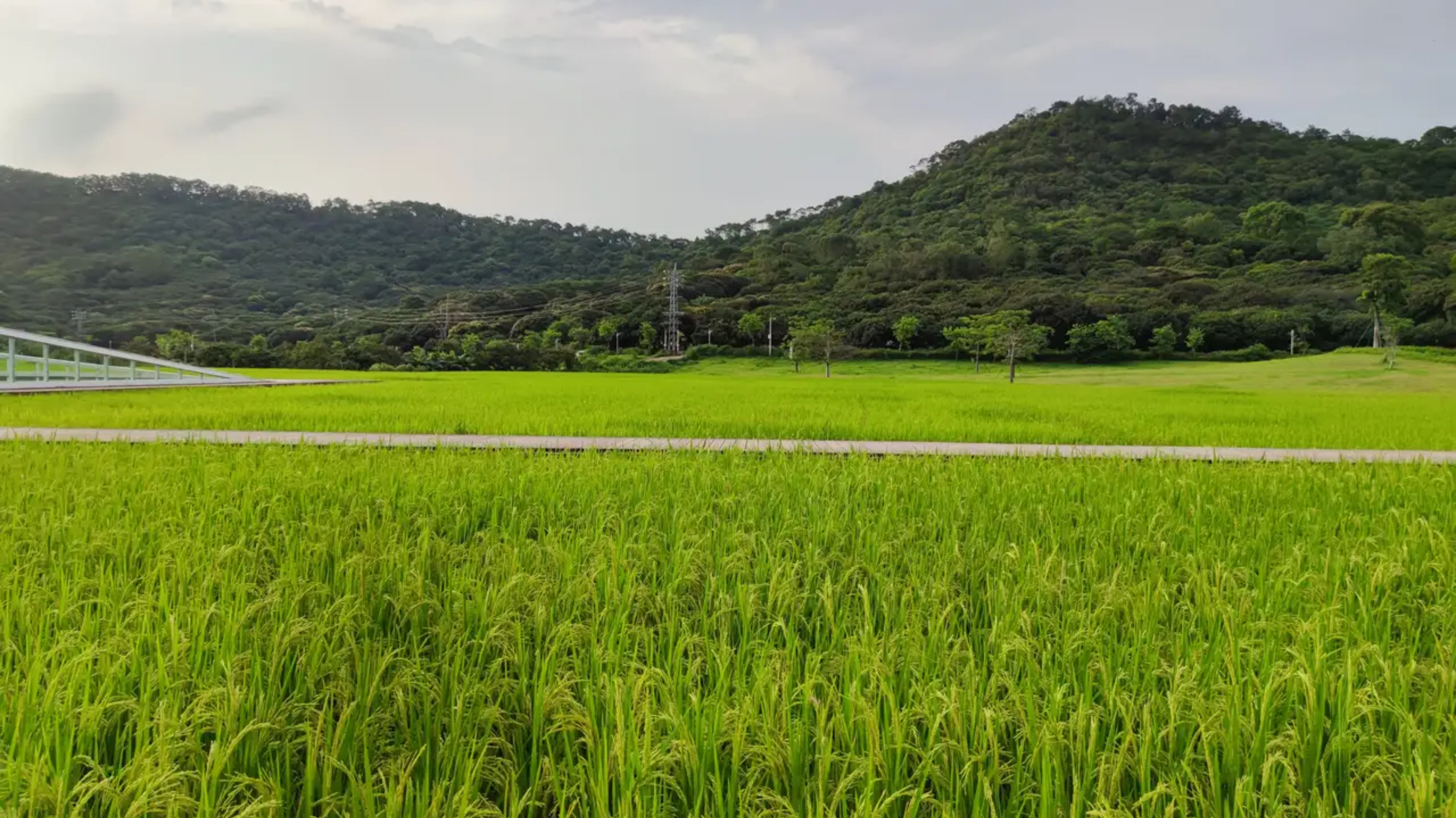 附近温泉度假村哪里好(从化风云岭附近新开了个轻奢温泉酒店，在房间泡温泉赏景，很惬意)