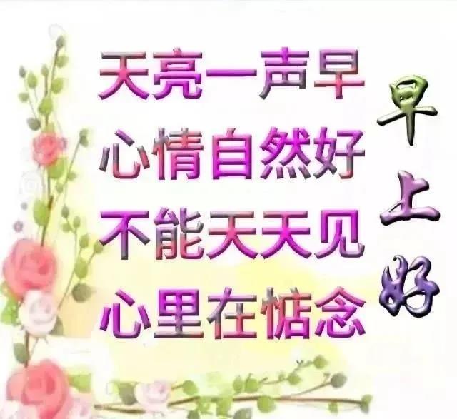 聊天不用打字的中老年表情，一声早安如同见面，你我开心快乐永远