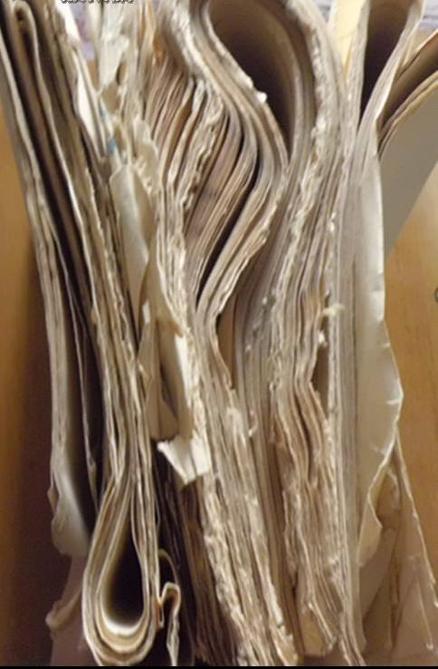 撷珍：从老照片中解读民国时期北平、上海、武汉高等师范教育