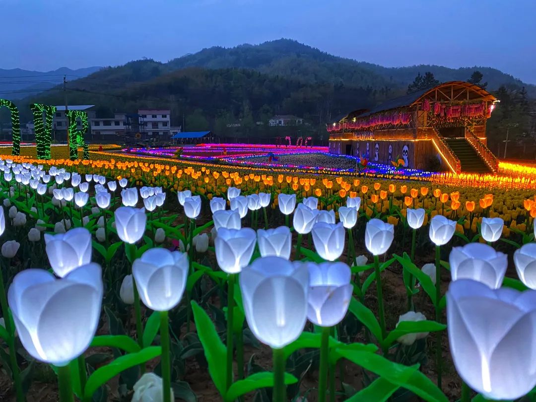 央視新聞再次聚焦西九華山景區(qū)花千谷成為全國賞花經(jīng)濟(jì)的一抹亮色