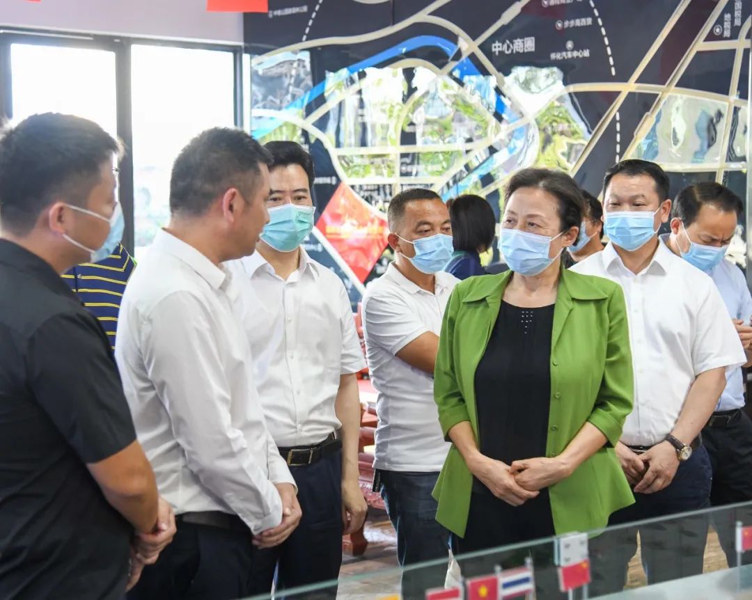 刘莲玉率队在怀化市调研怀化国际陆港建设并参加全国和省人大代表小组活动