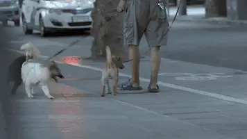 一天走一万步能减肥吗（每天10000步我瘦了10斤）