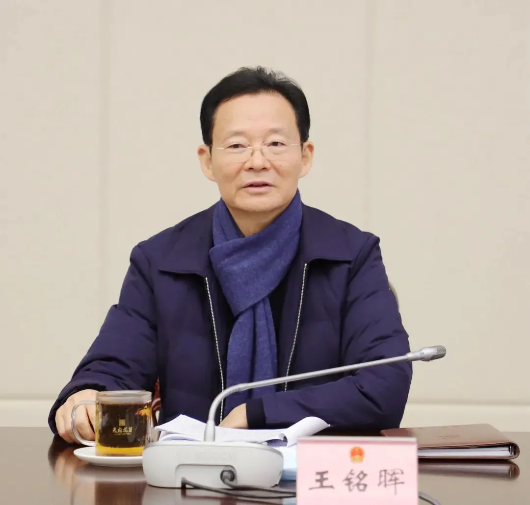 周末打虎：小汽车违章查询官网一键查违章