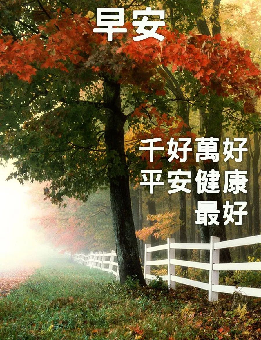 2022春天最新早上好问候早安祝福图片温馨带字 微笑不要钱却很值钱图片