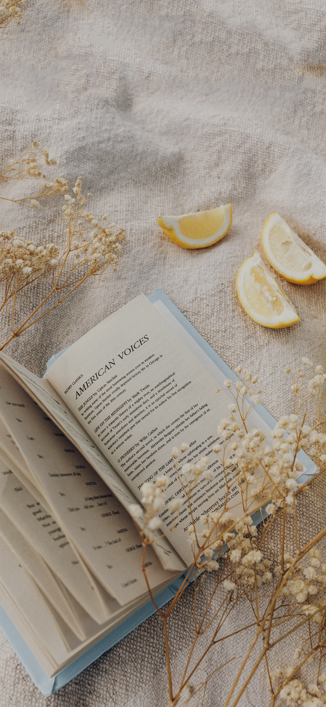 关于读书|清雅文艺风壁纸