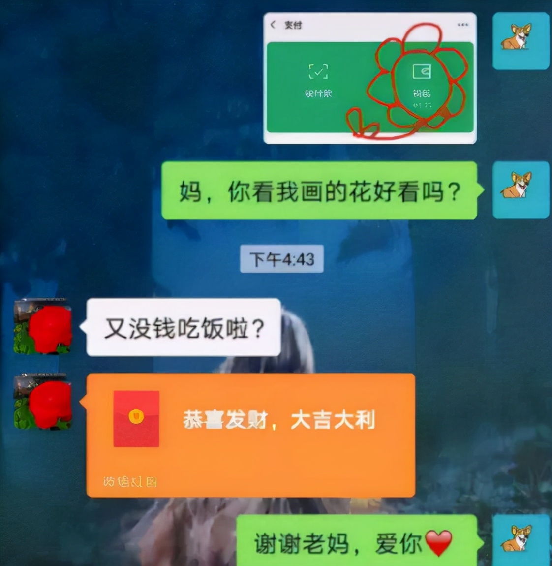感恩母校培育，不负青春韶华，用奋斗回馈每一份关怀与支持