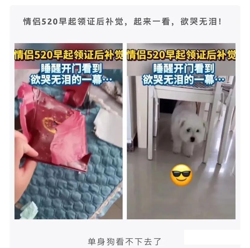 本来想掐一个手呢，看他一过来我想还是算了吧