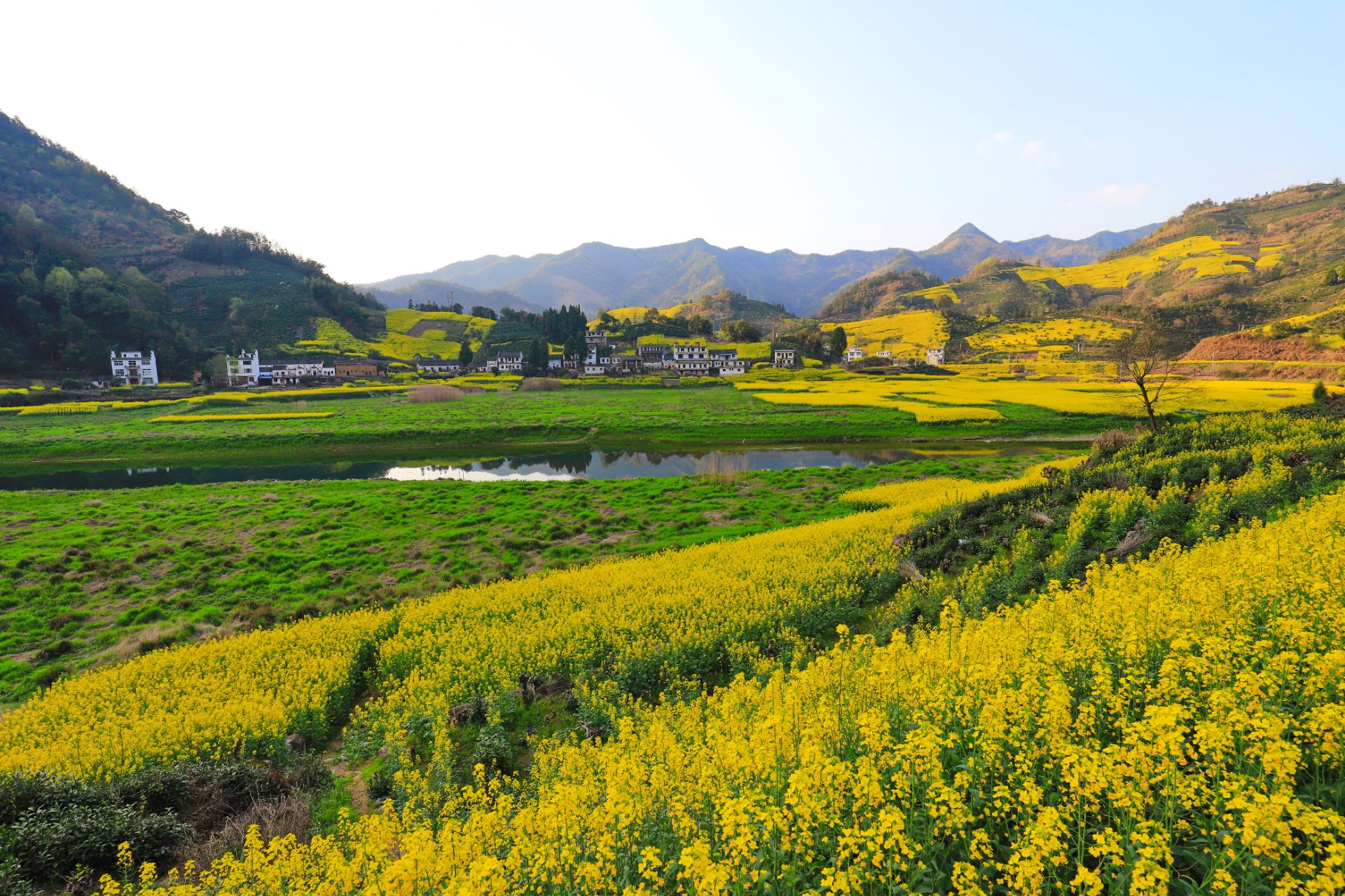 安徽有十处老少皆宜的游玩地方,景色非常好,你知道都是哪些吗?