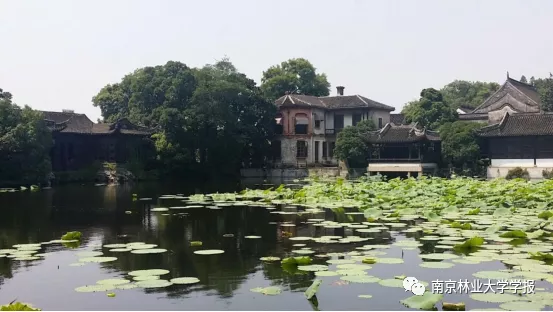 园林毕业论文（团队论文之私家园林空间特征研究）