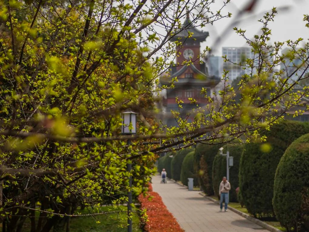 女总裁、女法医、女火炬手…这些“最美巾帼”，全都来自四川大学！