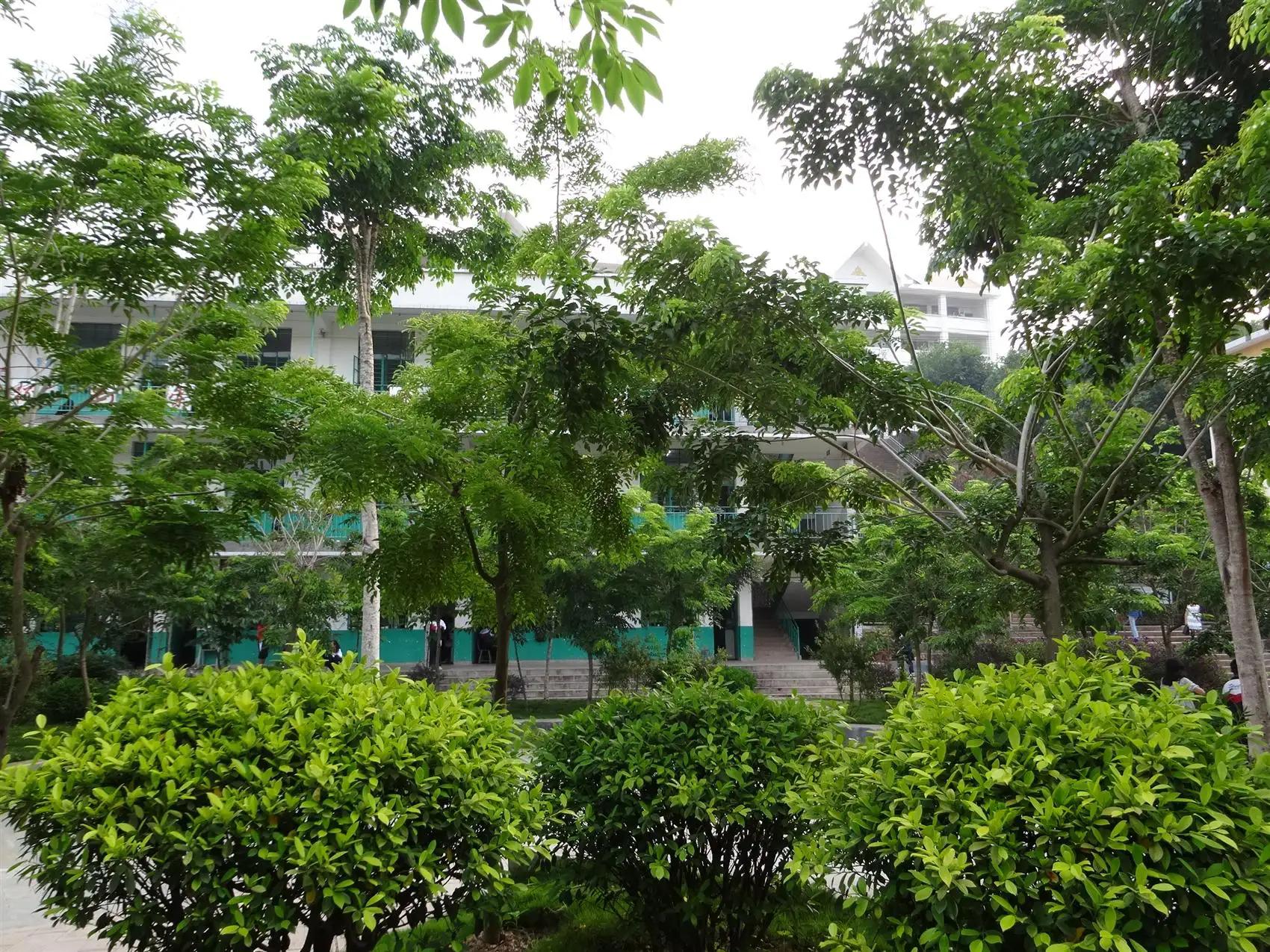 绿色校园之歌 文/周延锋现代诗歌美文美图