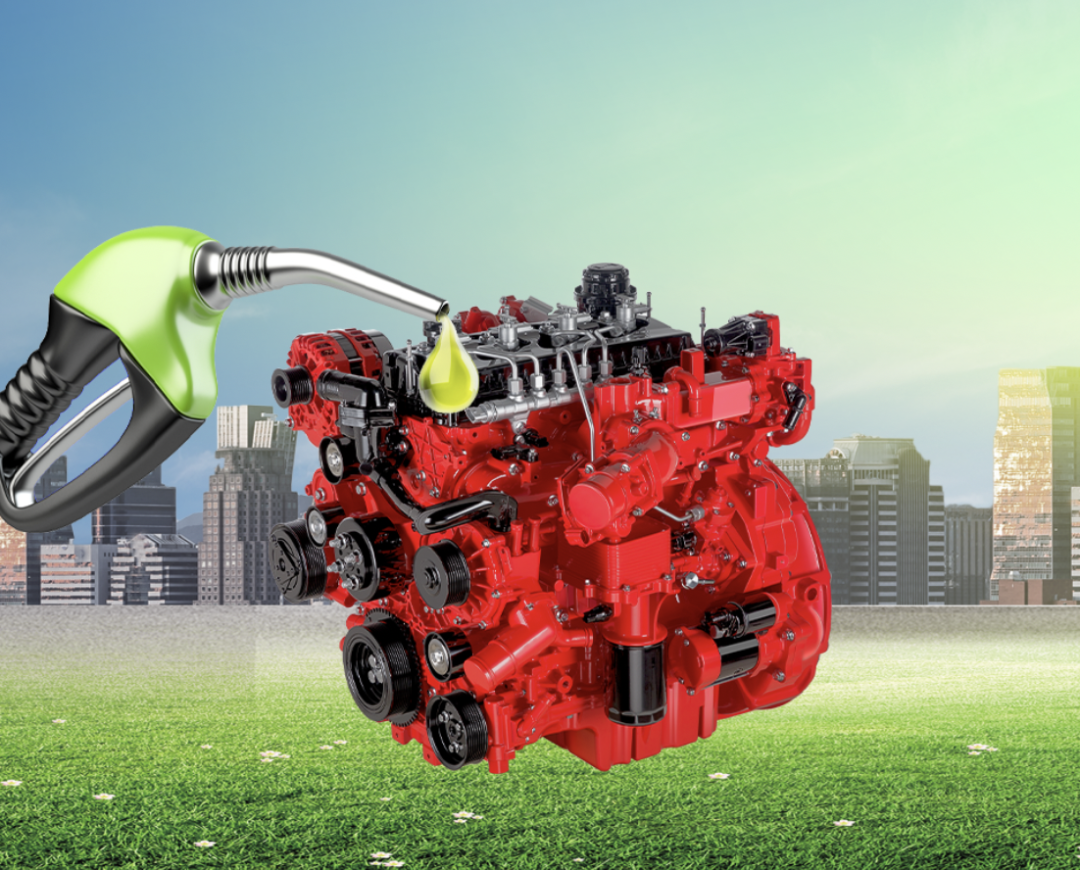 �߶��Ῠѡ˧�� ʡ�ͻ�ʡ�� �ܳ��е���