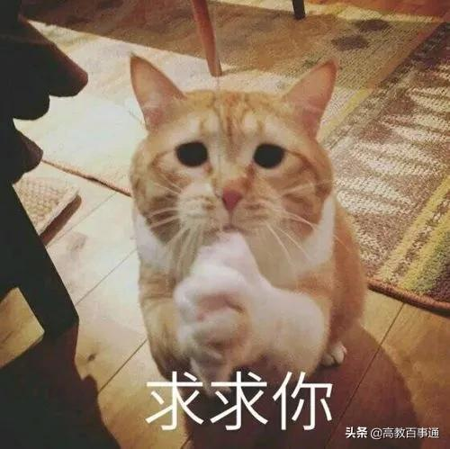 关于高考择校:我的一些想法和建议,以及请求