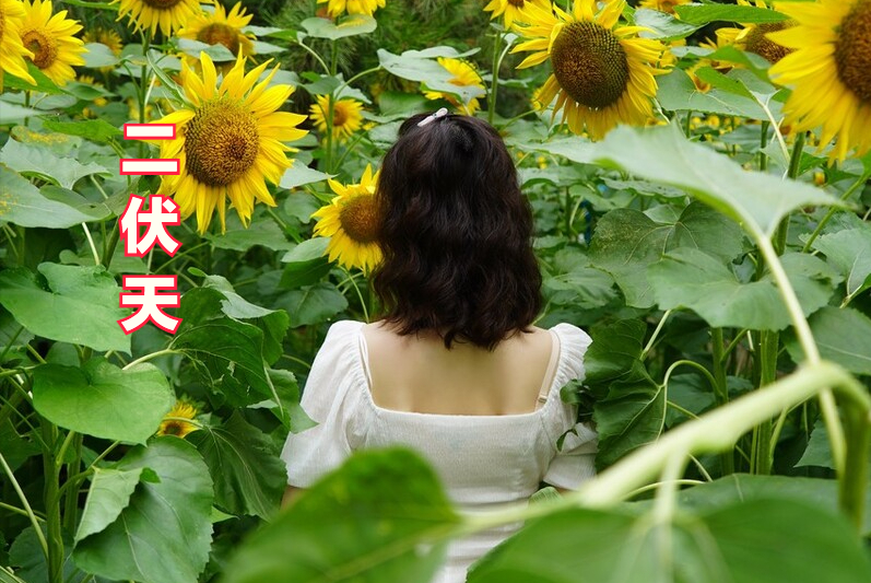5种应季水果该吃了(5种应季水果该吃了吧)