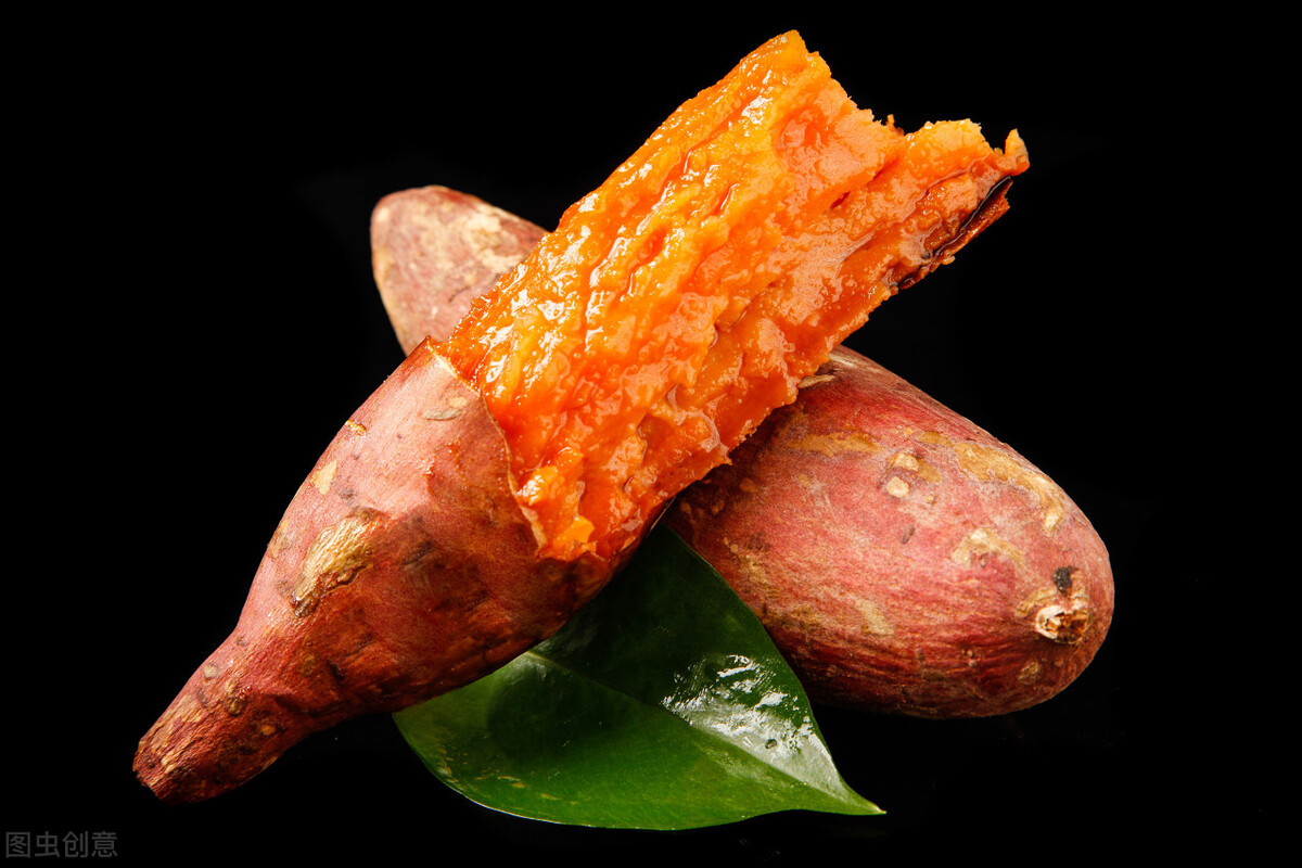 中钢集团洛阳耐火材料研究院(82606)2022年研究生调剂信息