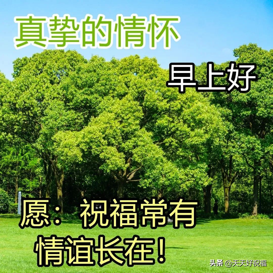 漂亮春天风景早安图片带字带祝福语 清晨早上好问候图片带字精选