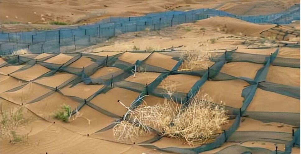 重大突破：全球第一组以中国企业名称命名的生物菌种诞生