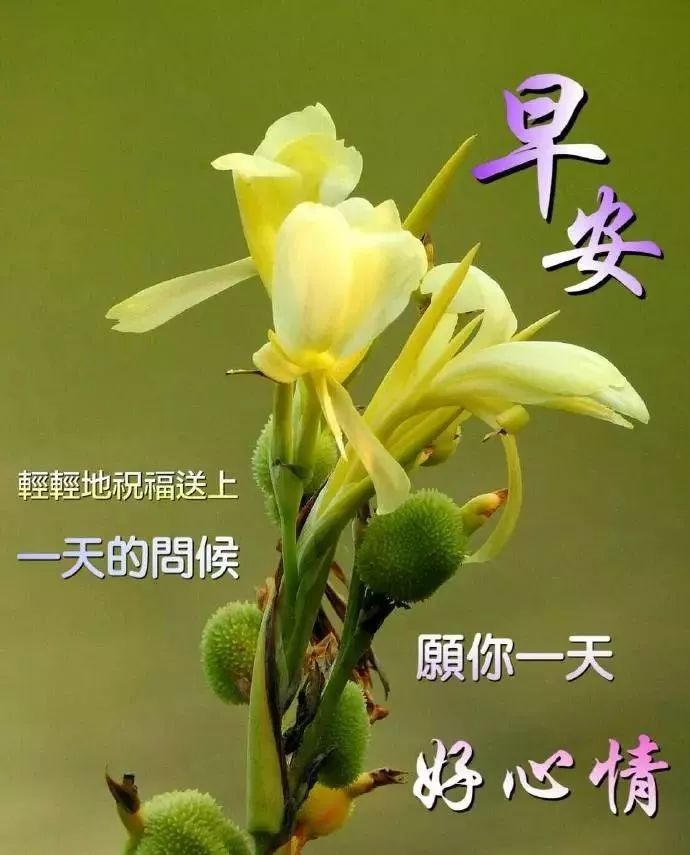 新的一周漂亮的早安祝福表情文字图片 知足是人生在世最大的幸事图片