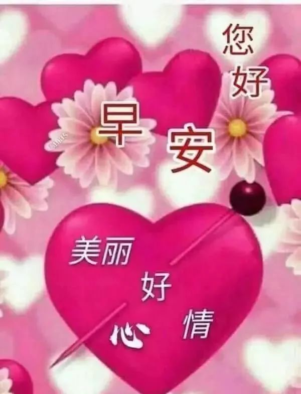 早上好的祝福图片带字 早安正能量励志 祝福你温馨愉悦 开心好心情图片