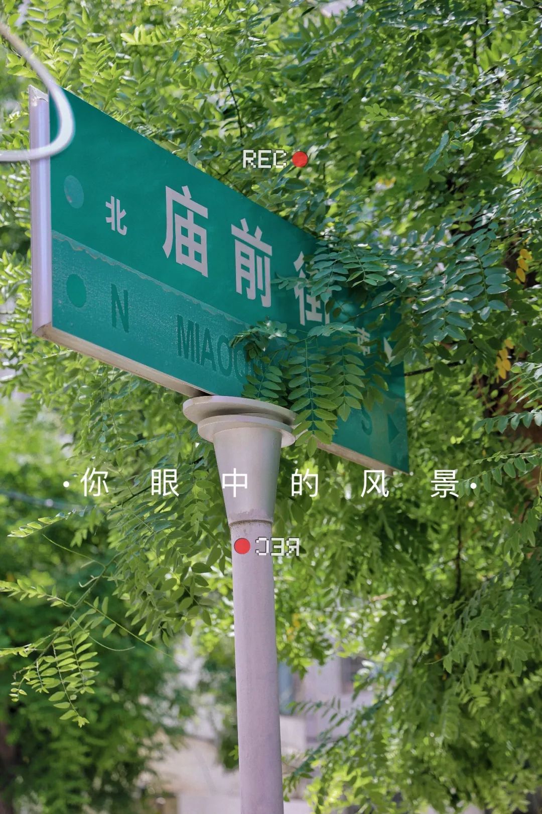 庙前街：总有美妙在不经意间