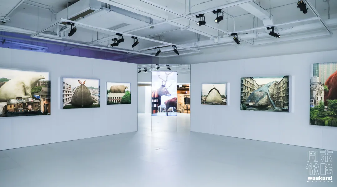 2022第一场艺术展!Burberry携手年轻艺术家登陆TX淮海仅限10天